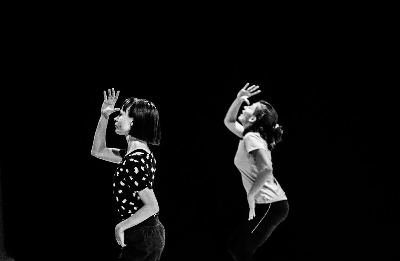 &copy; Ioana Iordache