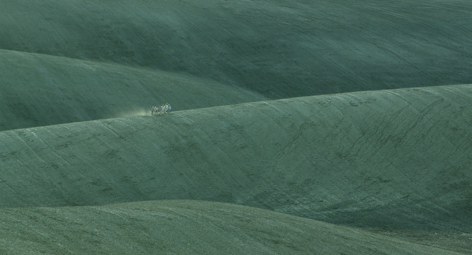 FIBONACCI (Tom&aacute;&scaron; Hub&aacute;ček, 8 min, 2020, CZ)