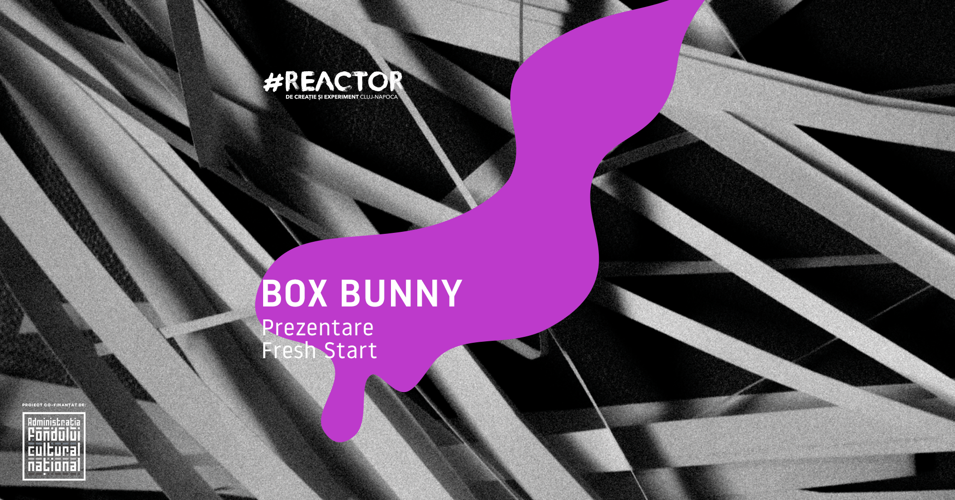 Box Bunny