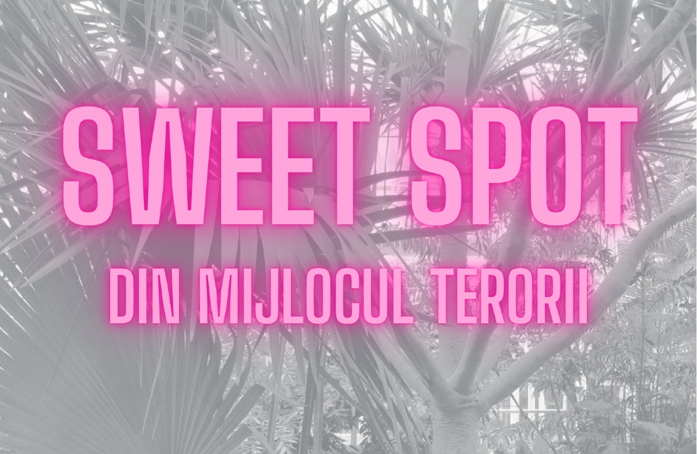 SWEET SPOT (FROM THE HEART OF TERROR) - synthetic exercise in entertainment 
