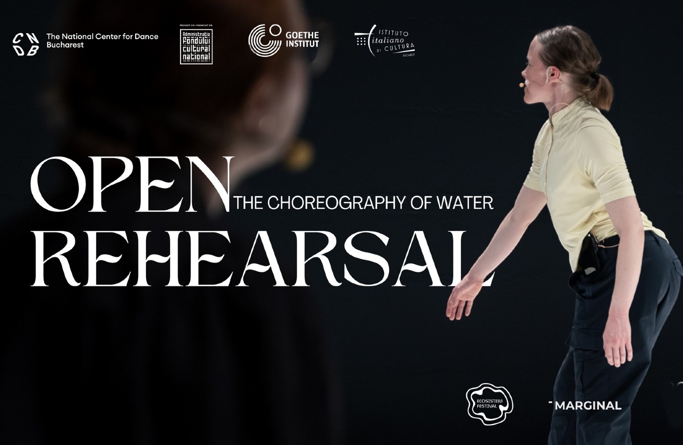 Repetiție deschisă - The Choreography of Water