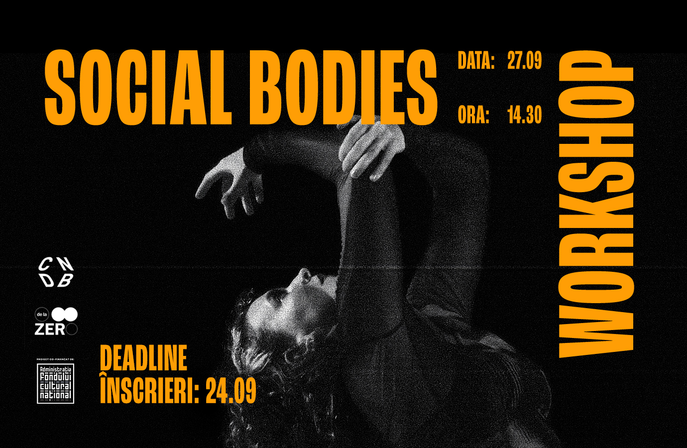 Social Bodies